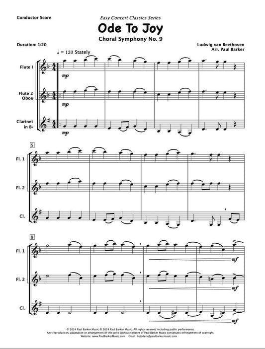 Ode To Joy (Woodwind Trio)