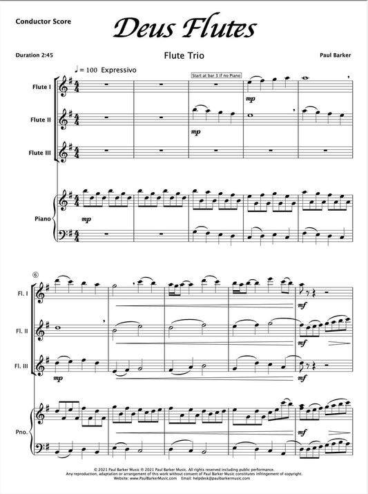 Deus Flutes - Paul Barker Music