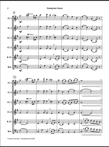 Easy Concert Classics Book 3 (Woodwind Ensemble)